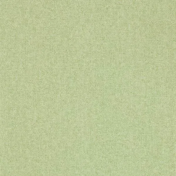 SESSILE PLAIN DABW217248