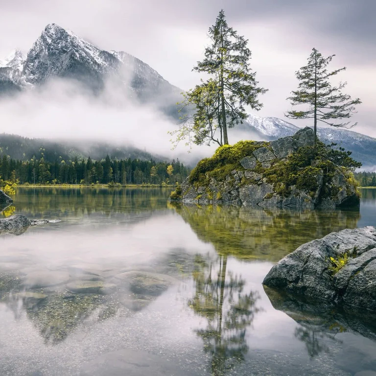 Foggy Day - Wall Mural 5441 - 4 Panel - 192cm x 260cm — Image 3