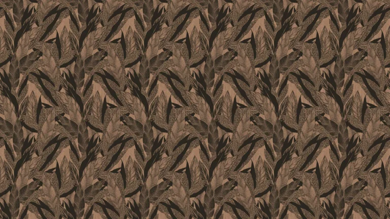 Tropicalia 29531 — Ảnh 3