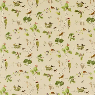 WOODLAND CHORUS DARF227060