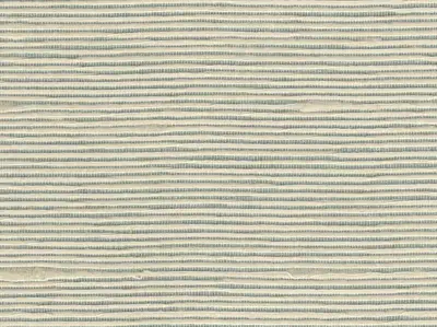 Stripe Sequin Weaving 20020707
