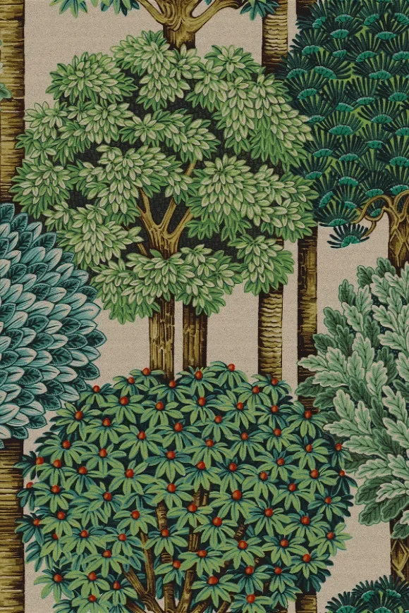 Mont Royal Evergreen — Image 2