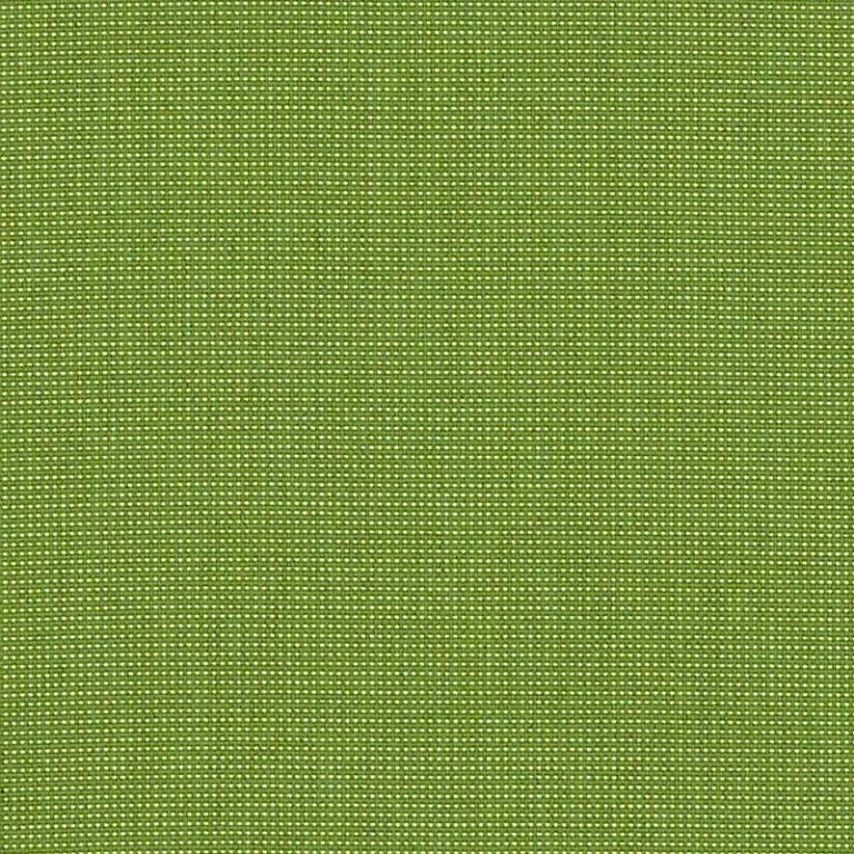 BENGALI BAMBOO