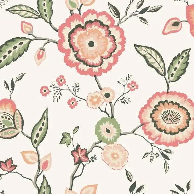 Dahlia Blooms