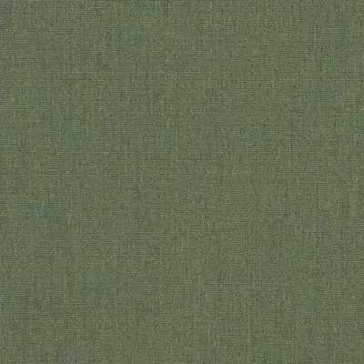 FERN