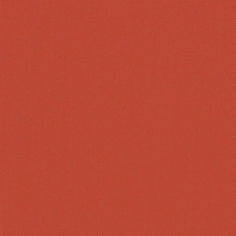 CANVAS PAPRIKA
