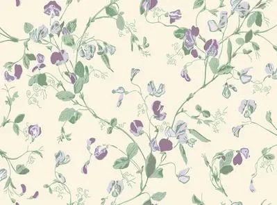 Sweet Pea Archive Anthology S100 6030 — Ảnh 2
