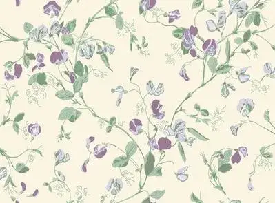 Sweet Pea Archive Anthology S100 6030