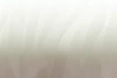 You — Sage