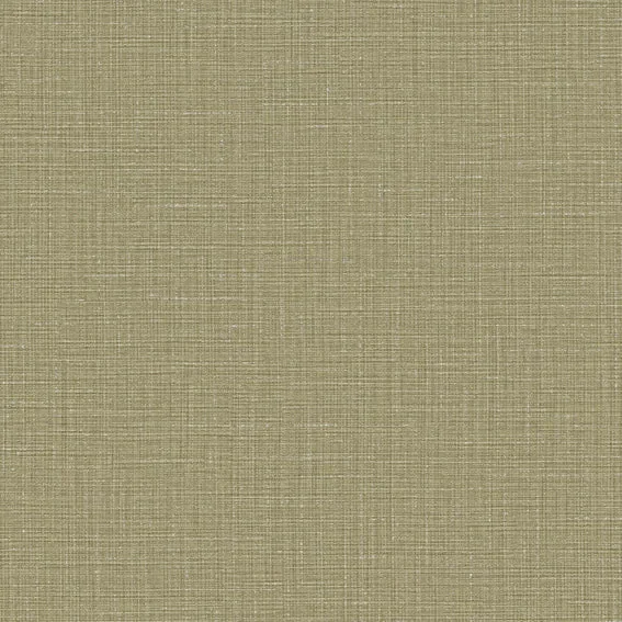 The Basic - Green Tone