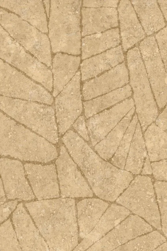 Fragment Sahara — Ảnh 2