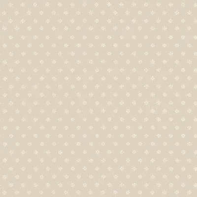 Victorian Star S100 7033 — Ảnh 2