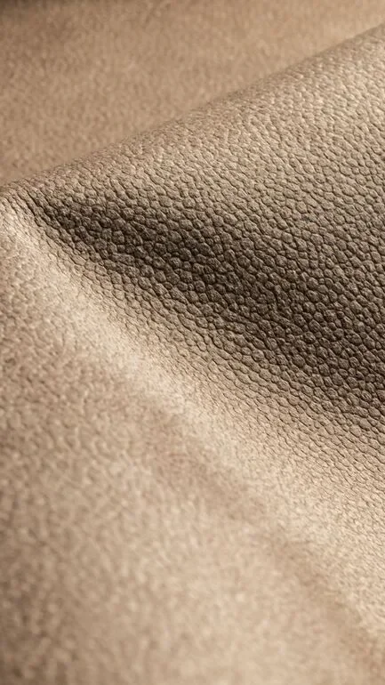Bonario Gaucho Upholstery Fabric - 103