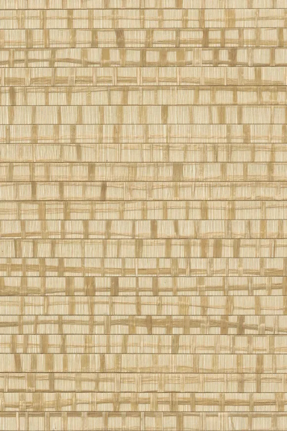 Ruban Honey Beige - 48072 — Ảnh 2