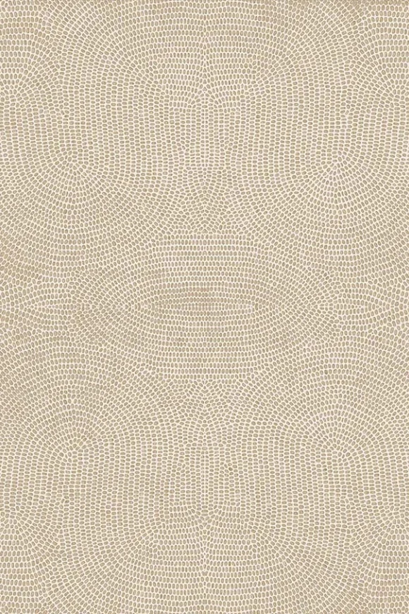 Strata 50571 — Ảnh 2