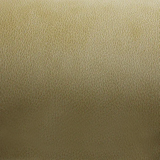 TG4016 Leather — Ảnh 4