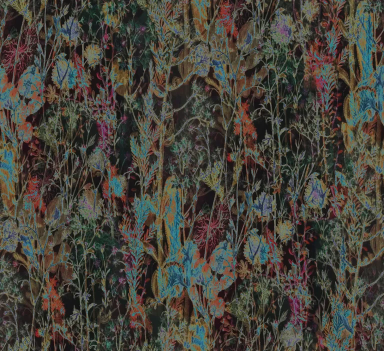 Wildflower 29540 — Ảnh 6