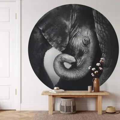 Baby Elephant - Wall Mural 5549 - Round - 144cm diameter