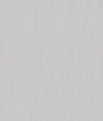 Watered Silk S106 1004