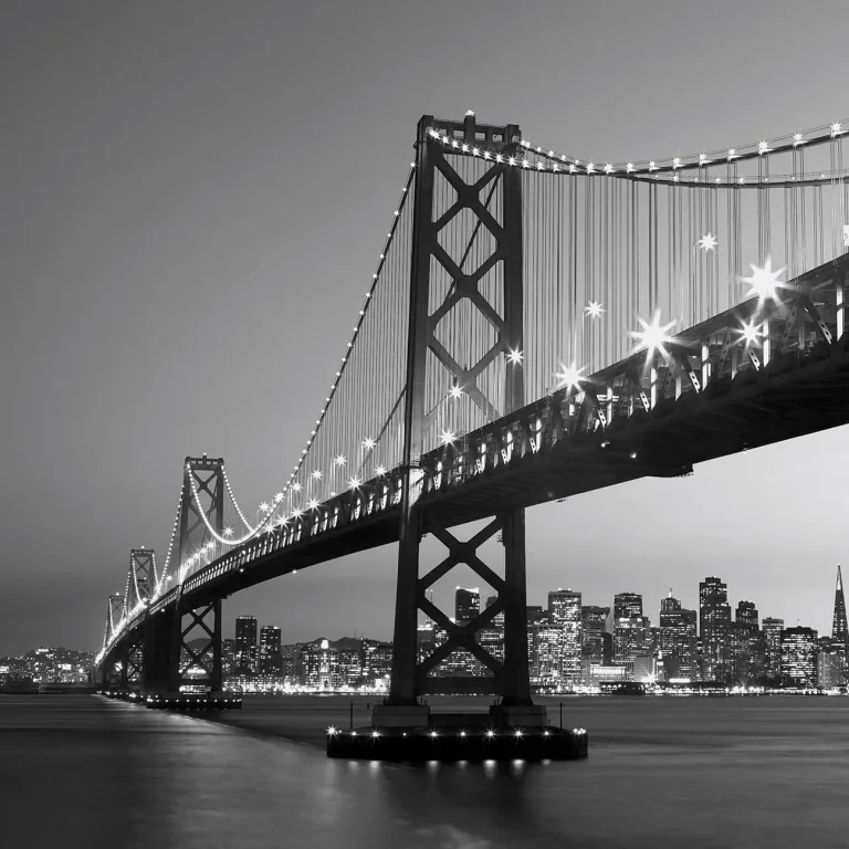 San Francisco Skyline - Wall Mural 5407 - 8 Panel - 384cm x 260cm — Ảnh 4