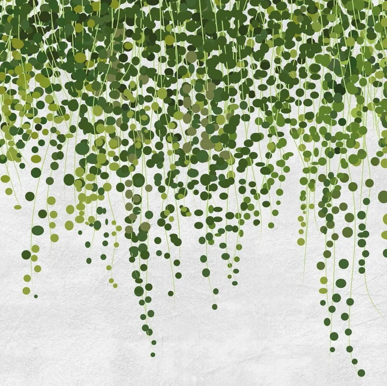 Hanging Plants - Wall Mural 5442 - 8 Panel - 384cm x 260cm — Ảnh 3