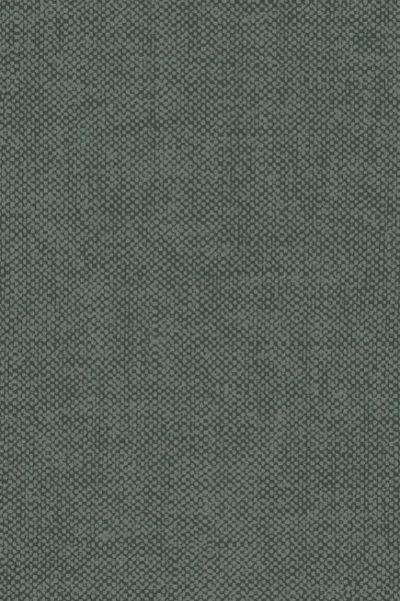 Lin Vert de Gris - 40023A — Image 2