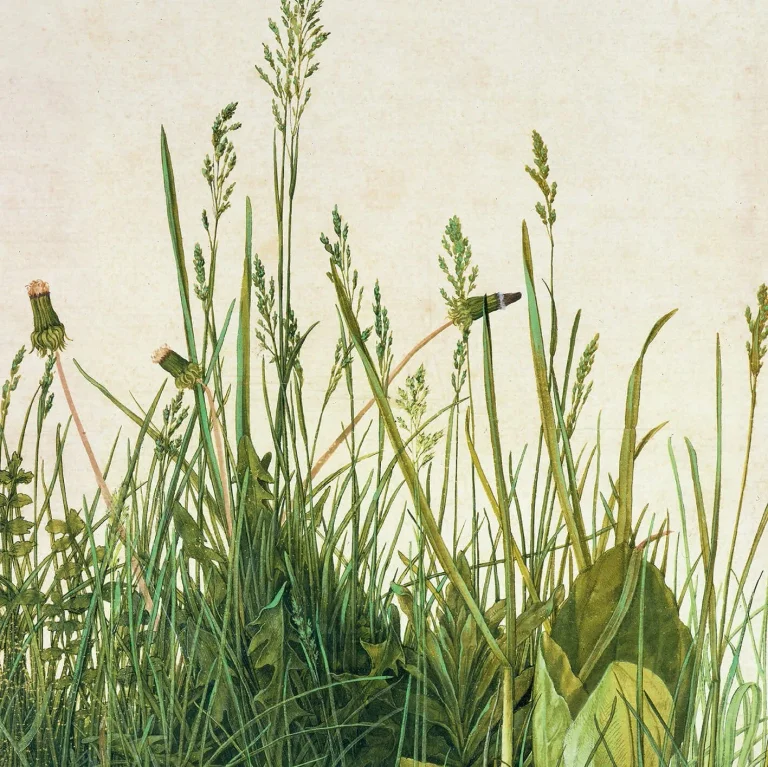 Great Piece of Turf - Wall Mural 5472 - 4 Panel - 192cm x 260cm — Ảnh 2
