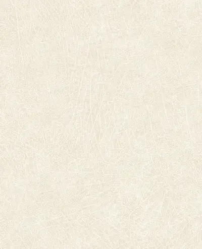 Skin 30051 — 300510