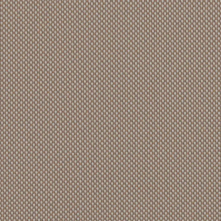 ROBBEN TAUPE