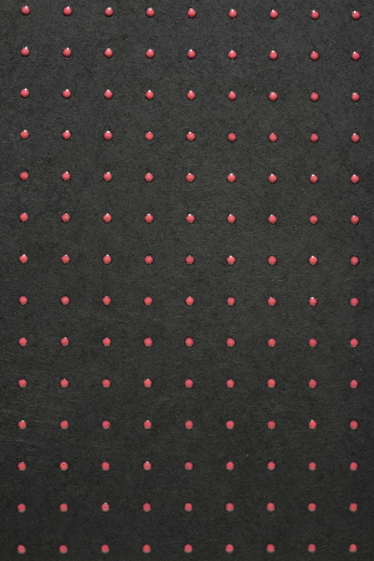 Dots Ivory Black — Ảnh 4