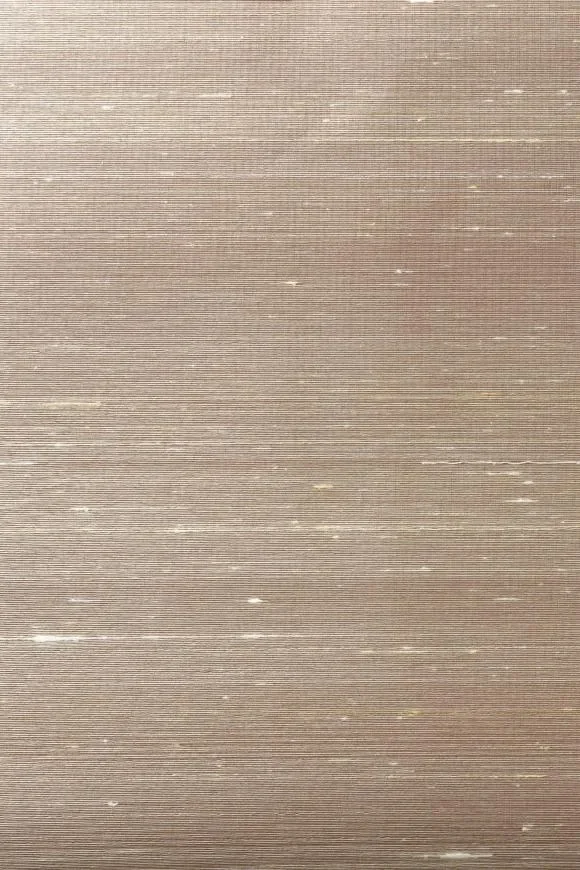 Dupion Tan - 87212A — Ảnh 2