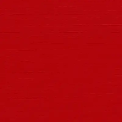 CANVAS LOGO RED