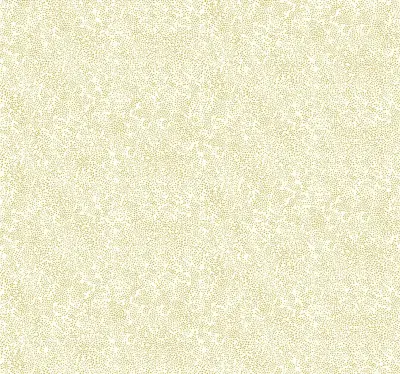 Rifle Paper Co. Champagne Dots Wallpaper - Gold & White