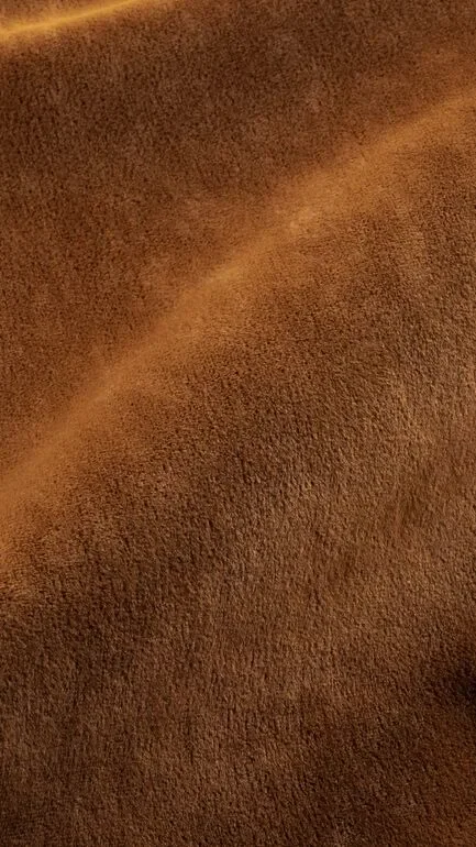 Bonario Amber Upholstery Fabric - 101