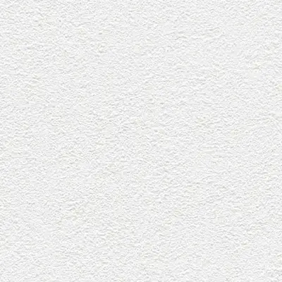 The Basic - White Beige Tone PT.02