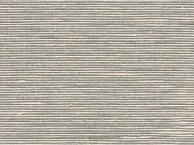 Stripe Sequin Weaving 20020718
