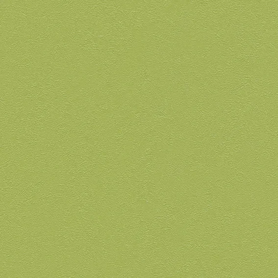 The Basic - Green Tone