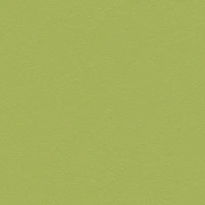 The Basic - Green Tone
