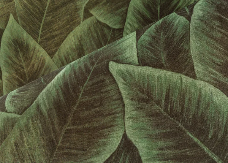 Bird Of Paradise Emerald — Ảnh 5