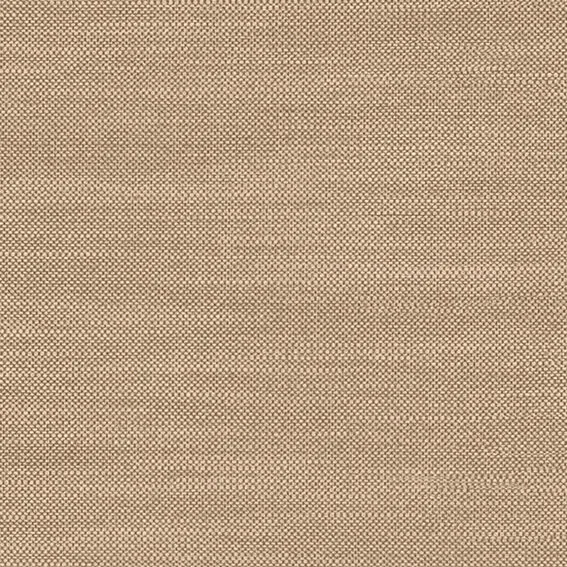 The Basic - Yellow Orange Tone