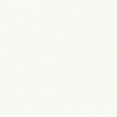 The Basic - White Beige Tone PT.02