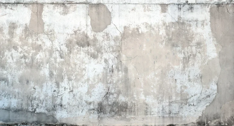 Zoom Digital Wallpaper Wall Mural - 222610 — Image 3