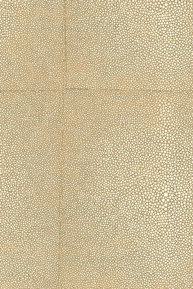 Shagreen Sand — Image 4