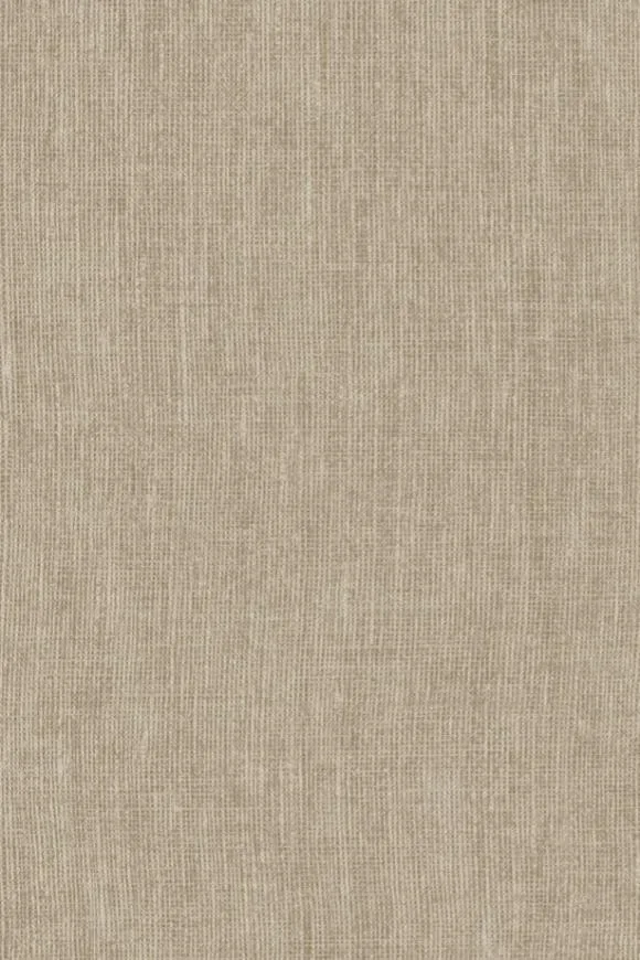 Lin Normandie Tortue — Ảnh 2