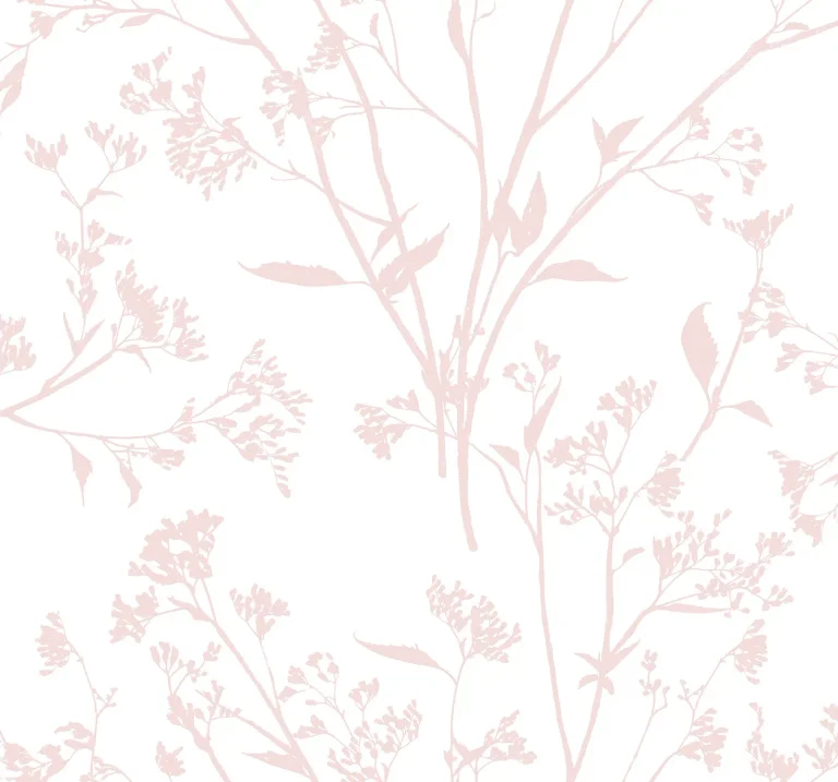 Southport Delicate Branches Wallpaper - Blush — Ảnh 2