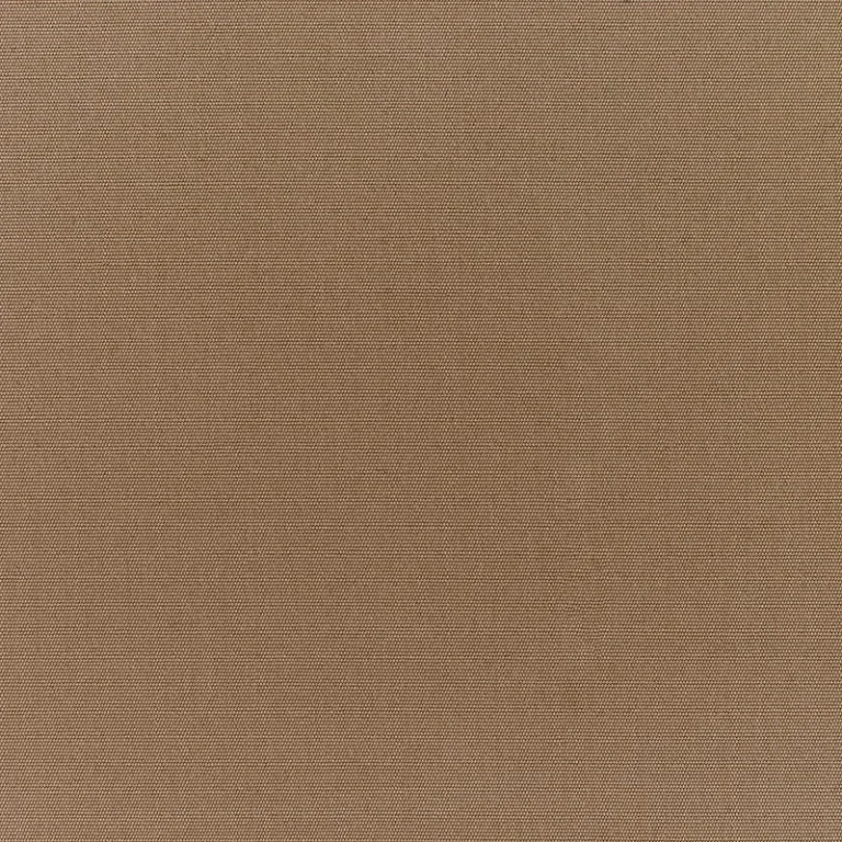 CANVAS CAMEL
