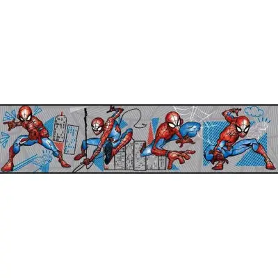 Spider-man Fracture Border