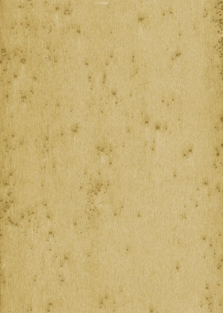 Stellar 37516 — Image 2