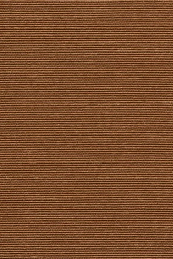 Agave Terracotta - 90532 — Ảnh 2