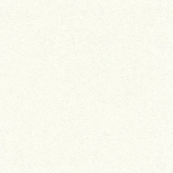 The Basic - White Beige Tone PT.01